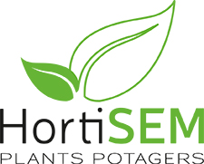 Hortisem, plants potagers à Cléder